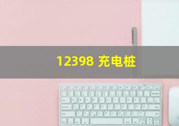 12398 充电桩